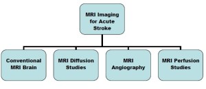 MRI3