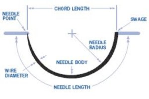 Needle Anatomy