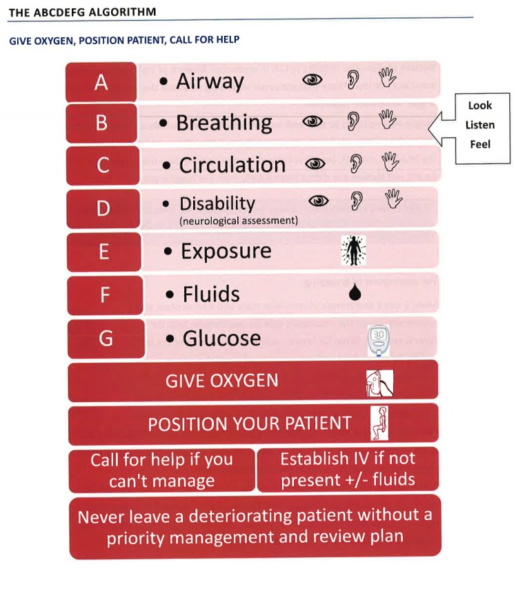 Australian DETECT Program Initial Assessment