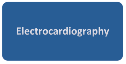 Screen Shot 2015-11-29 at 12.34.19 PM