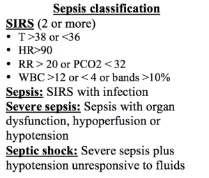 Screen Shot 2013-12-08 at 11.56.20 AM
