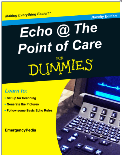 Echo For Dummies